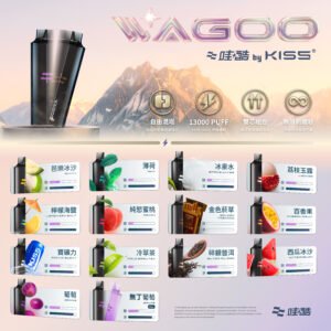 新品上市【WAGOO❣️哇酷拋棄式6500口❣️】by KIS5 的高端品牌 【滿7送1請備注口味】